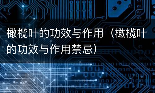 橄榄叶的功效与作用（橄榄叶的功效与作用禁忌）