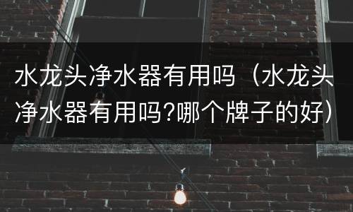 水龙头净水器有用吗（水龙头净水器有用吗?哪个牌子的好）
