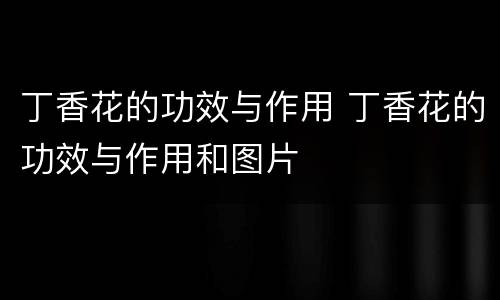丁香花的功效与作用 丁香花的功效与作用和图片