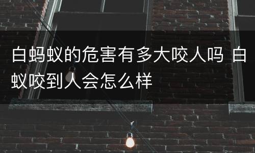 白蚂蚁的危害有多大咬人吗 白蚁咬到人会怎么样