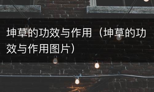 坤草的功效与作用（坤草的功效与作用图片）
