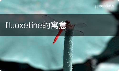 fluoxetine的寓意