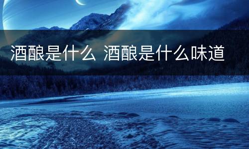 酒酿是什么 酒酿是什么味道