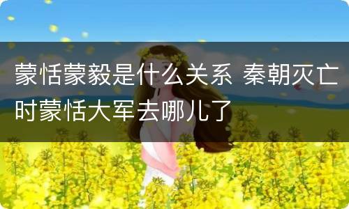蒙恬蒙毅是什么关系 秦朝灭亡时蒙恬大军去哪儿了
