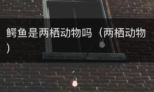 鳄鱼是两栖动物吗（两栖动物）
