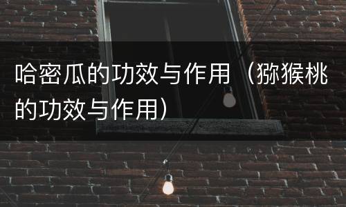 哈密瓜的功效与作用（猕猴桃的功效与作用）