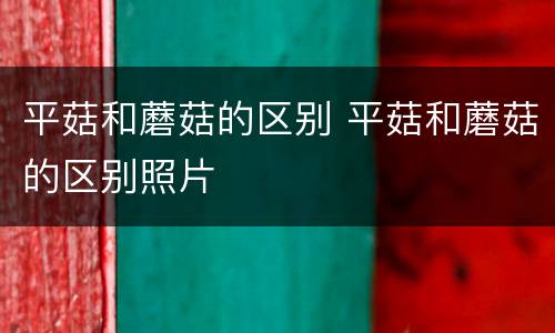 平菇和蘑菇的区别 平菇和蘑菇的区别照片