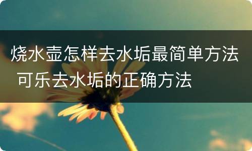 烧水壶怎样去水垢最简单方法 可乐去水垢的正确方法