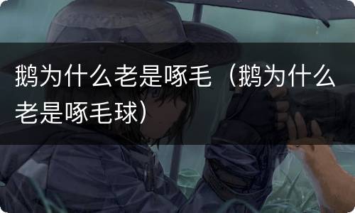 鹅为什么老是啄毛（鹅为什么老是啄毛球）