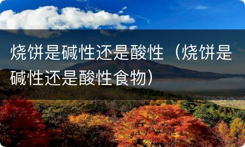 烧饼是碱性还是酸性（烧饼是碱性还是酸性食物）