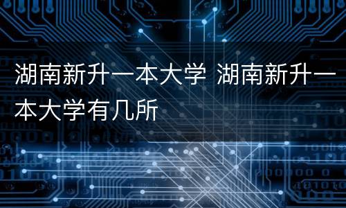 湖南新升一本大学 湖南新升一本大学有几所