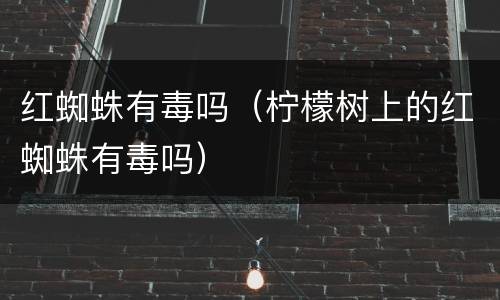 红蜘蛛有毒吗（柠檬树上的红蜘蛛有毒吗）