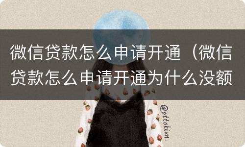 微信贷款怎么申请开通（微信贷款怎么申请开通为什么没额度）