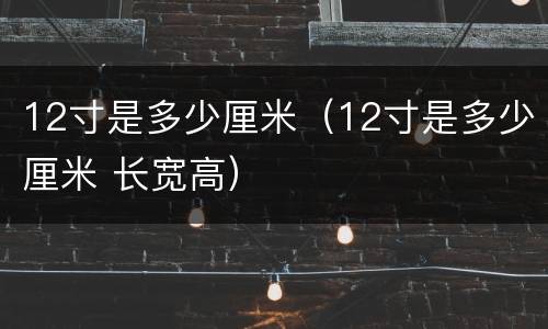 12寸是多少厘米（12寸是多少厘米 长宽高）