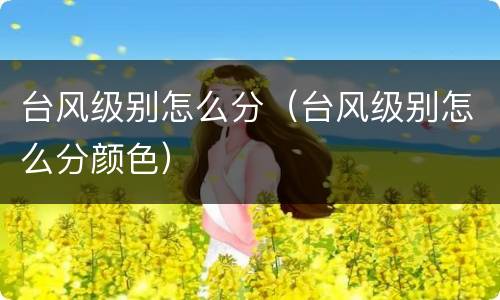 台风级别怎么分（台风级别怎么分颜色）