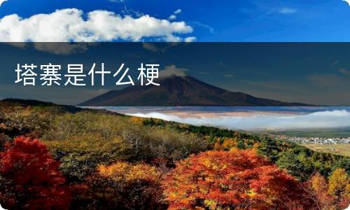 塔寨是什么梗