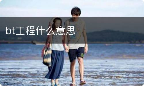 bt工程什么意思