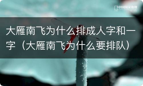 大雁南飞为什么排成人字和一字（大雁南飞为什么要排队）