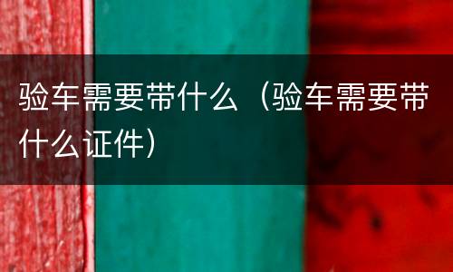 验车需要带什么（验车需要带什么证件）
