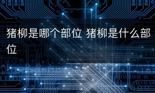 猪柳是哪个部位 猪柳是什么部位