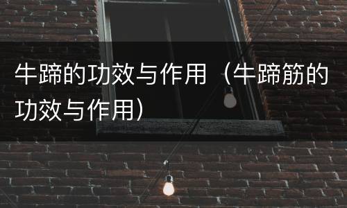 牛蹄的功效与作用（牛蹄筋的功效与作用）