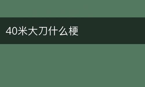 40米大刀什么梗