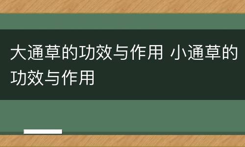大通草的功效与作用 小通草的功效与作用