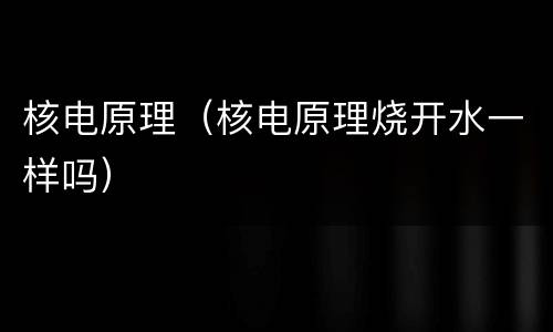 核电原理（核电原理烧开水一样吗）