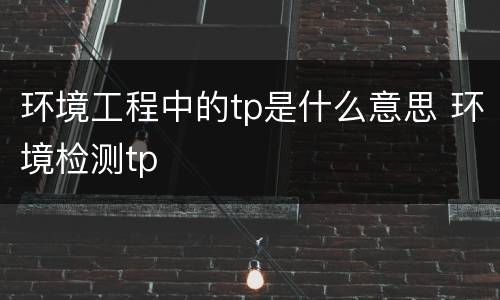 环境工程中的tp是什么意思 环境检测tp