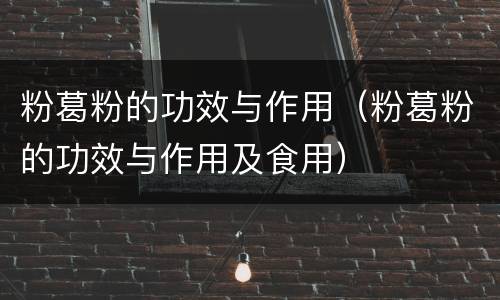 粉葛粉的功效与作用（粉葛粉的功效与作用及食用）