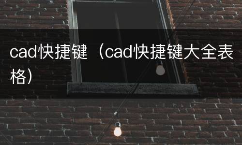 cad快捷键（cad快捷键大全表格）