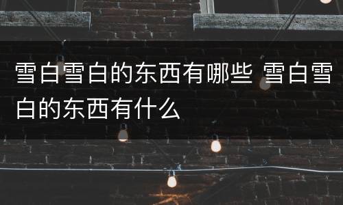 雪白雪白的东西有哪些 雪白雪白的东西有什么