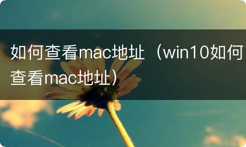 如何查看mac地址（win10如何查看mac地址）