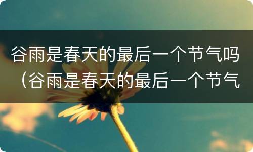 谷雨是春天的最后一个节气吗（谷雨是春天的最后一个节气吗为什么）