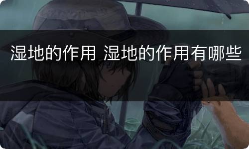 湿地的作用 湿地的作用有哪些