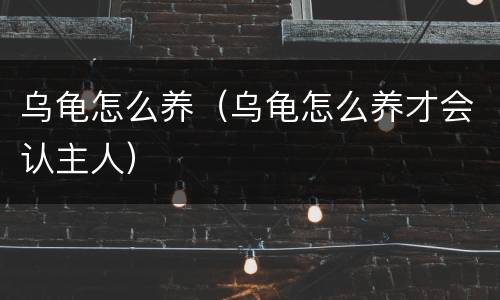 乌龟怎么养（乌龟怎么养才会认主人）