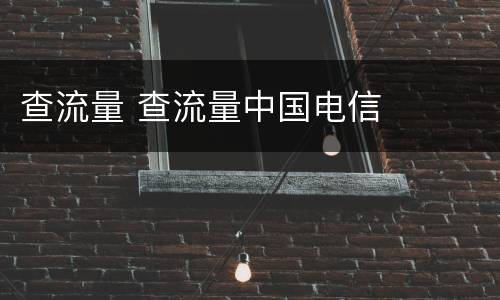 查流量 查流量中国电信