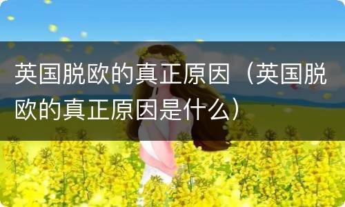 英国脱欧的真正原因（英国脱欧的真正原因是什么）
