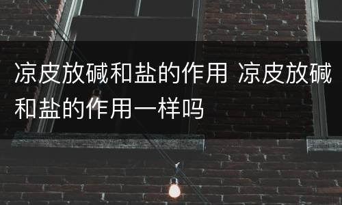 凉皮放碱和盐的作用 凉皮放碱和盐的作用一样吗