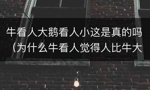牛看人大鹅看人小这是真的吗（为什么牛看人觉得人比牛大鹅看人觉得人比鹅小）