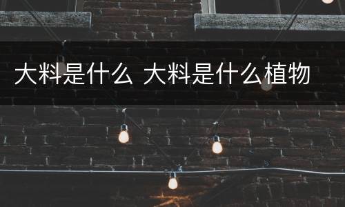 大料是什么 大料是什么植物