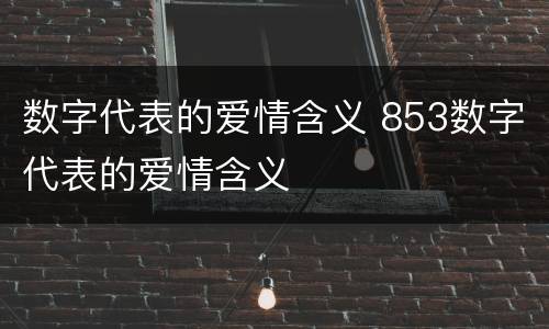 数字代表的爱情含义 853数字代表的爱情含义