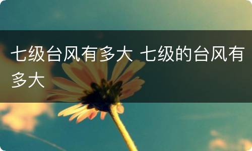 七级台风有多大 七级的台风有多大