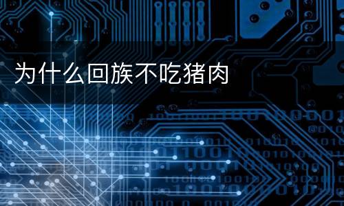 为什么回族不吃猪肉