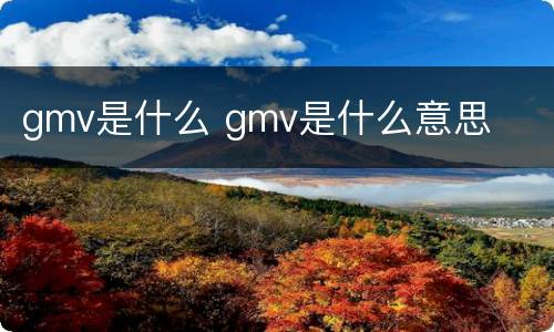 gmv是什么 gmv是什么意思