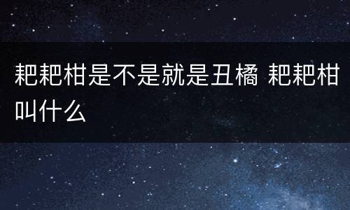耙耙柑是不是就是丑橘 耙耙柑叫什么