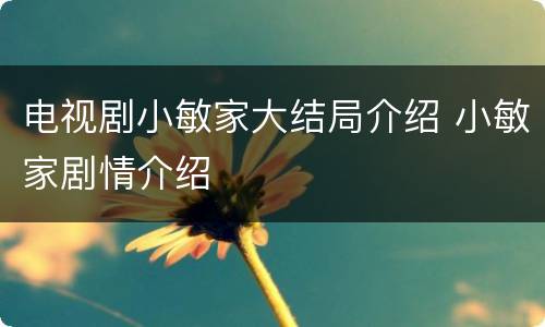 电视剧小敏家大结局介绍 小敏家剧情介绍