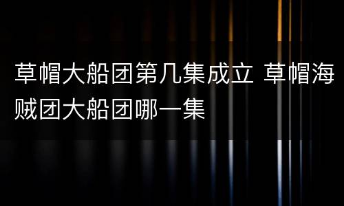草帽大船团第几集成立 草帽海贼团大船团哪一集