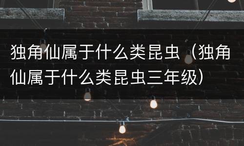 独角仙属于什么类昆虫（独角仙属于什么类昆虫三年级）