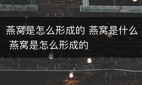 燕窝是怎么形成的 燕窝是什么 燕窝是怎么形成的